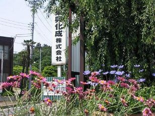 春 花